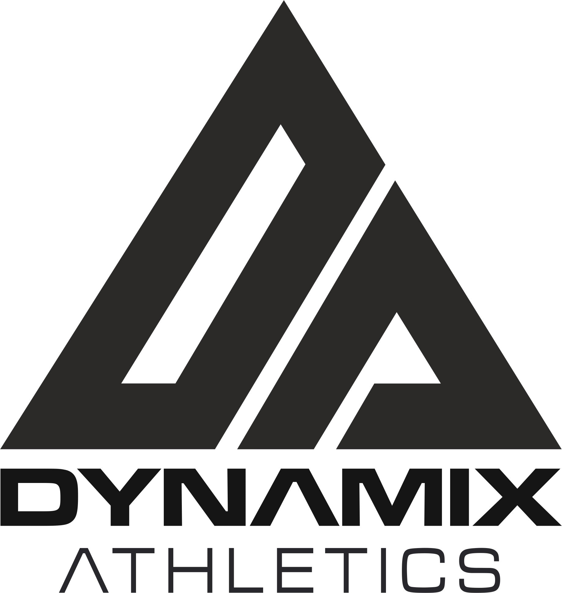 Dynamix Athletics Autospiegel Mini Boxhandschuhe Carbonix