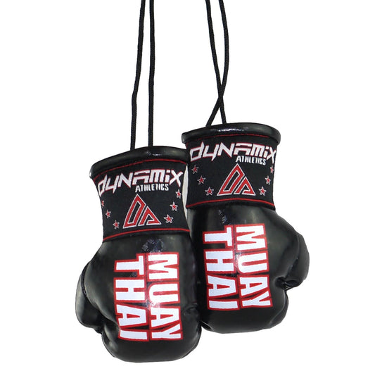 Mini-Boxhandschuhe von ALL Ride, witzig-sportliche Dekoration